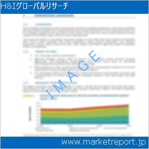 市場と産業調査レポートのイメージ